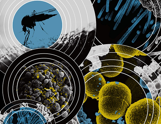 Emerging Infectious Disease Threats