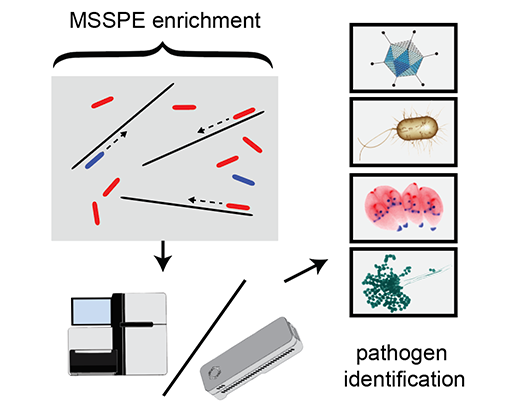 MSSPE FAQ