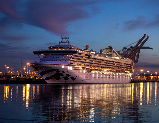 Coronavirus: Tracing Grand Princess outbreak, gene detectives see link to Seattle case